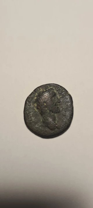 Moneda Ibérica con loba amamantando.
