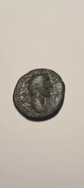 Moneda Ibérica con loba amamantando.