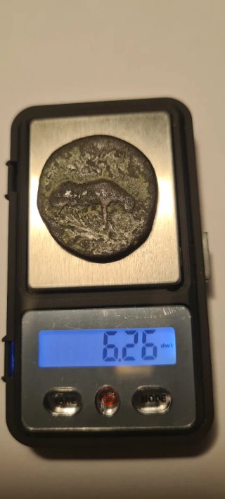 Moneda Ibérica con loba amamantando.