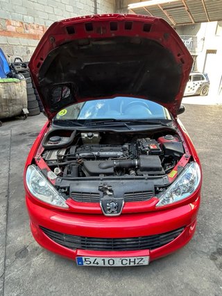 Peugeot 206 GTI 2004