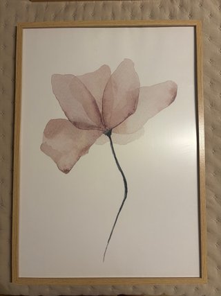 Cuadro Desenio Flor Rosa Acuarela