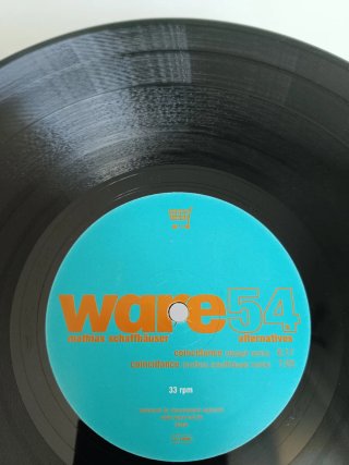 Vinilo Mathias Schaffhäuser – Alternatives
