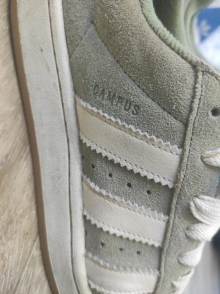 Adidas Campus Verde Claro