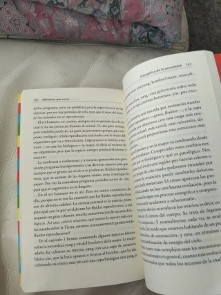 Alimentos que curan