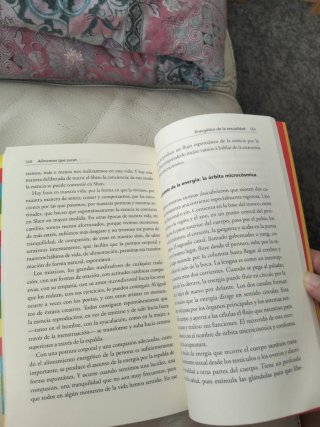 Alimentos que curan