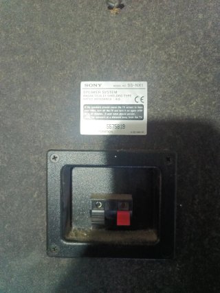Par de Altavoces Sony