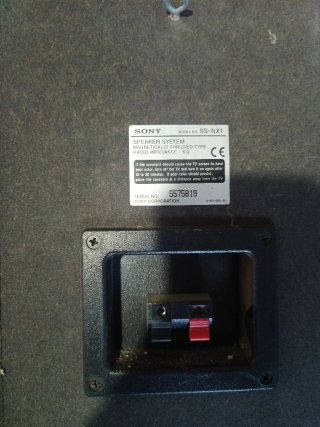 Par de Altavoces Sony