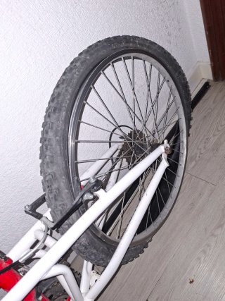 Bicicleta roja con llantas 24