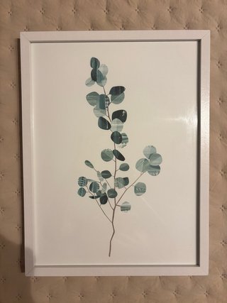 Cuadro Diseño Rama Hojas Verdes