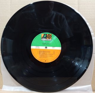 Robert Plant Now And Zen LP Vinilo