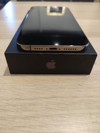 iPhone 12 Pro Max Plata