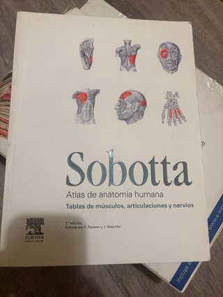 Caleccion Atlas de anatomía humana Sobota