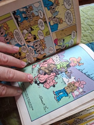 Coleccion de comics Pulgarcito
