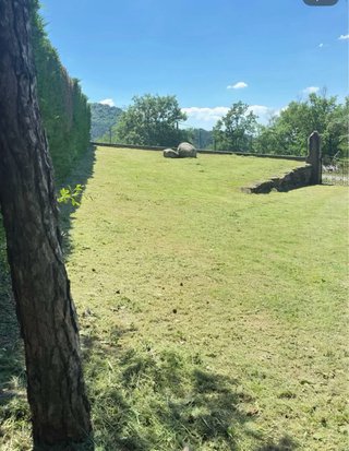Jardinero