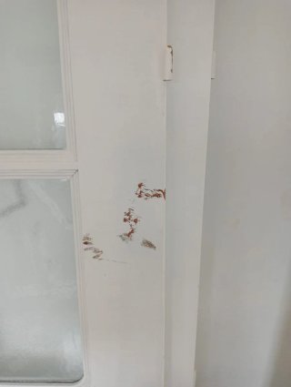 Puertas blancas macizas