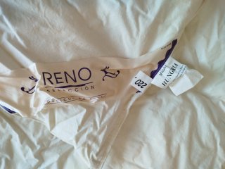 Nórdico de plumas de Oca blanco