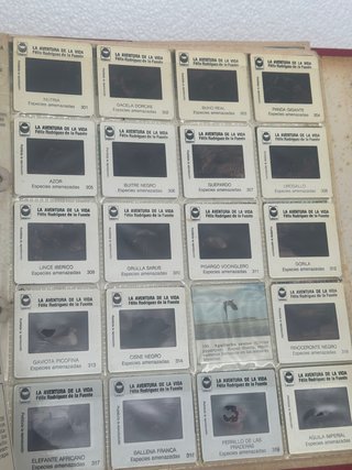 libro de diapositivas 300 de felix rodriguez de la