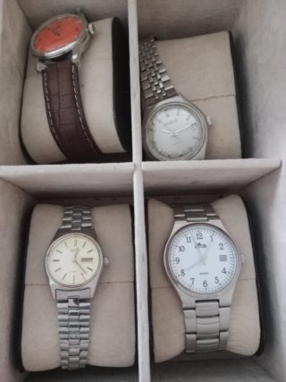 Lote de relojes automáticos y de pulsera