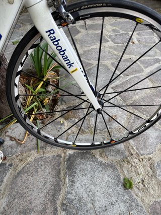 Bicicleta Giant TCR Advanced Rabobank Talla M