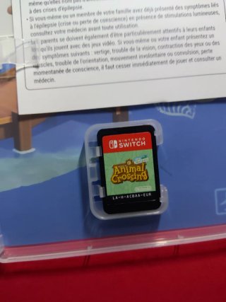 Animal Crossing Nintendo Switch #A2903