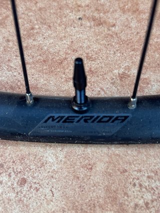 Juego llantas 29 Enduro