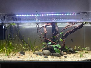 Acuario 200L Cristal Óptico