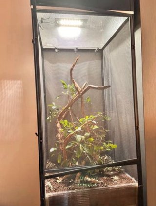 Terrario Zoo Med 61x61x122 cm