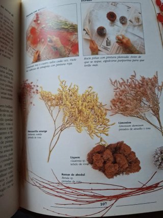 Como decorar con flores secas.