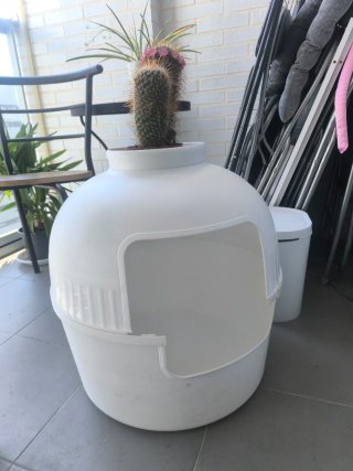 Arenero/Maceta para Gatos