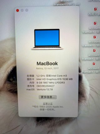 MacBook Retina 12” 2017 Oro Rosa