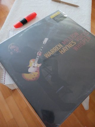WARREN HAYNES (Gov't Mule) Million Voices Whisper