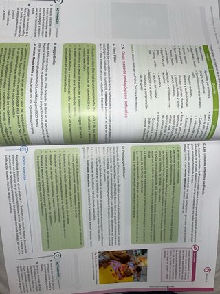 Didáctica de la Educación Infantil