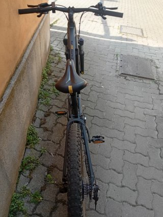Bici elettrica Moma MTB 250W