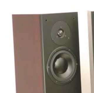 Dynaudio Audience 62 pareja altavoces columna