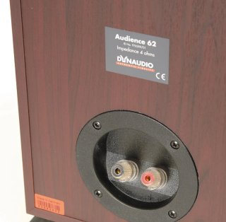 Dynaudio Audience 62 pareja altavoces columna