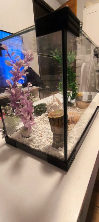 Acquario in vetro con accessori