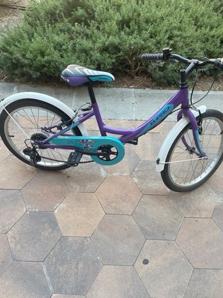 Bicicleta niña 20 morada B-PRO