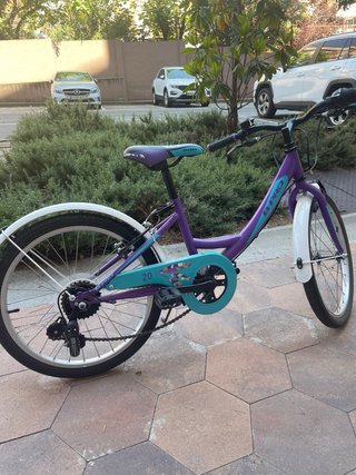 Bicicleta niña 20 morada B-PRO