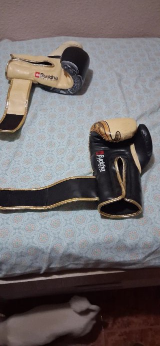 Guantes de Boxeo Budha Dorados