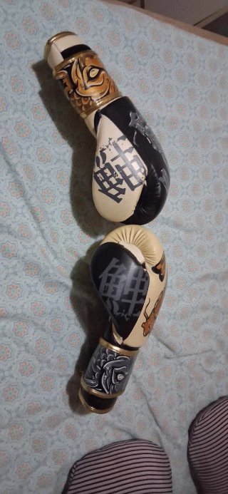 Guantes de Boxeo Budha Dorados