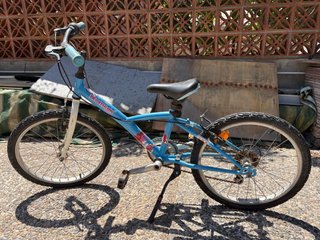Bicicleta niña 20”