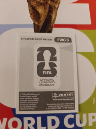 Cromo Balón Mundial FIFA Panini