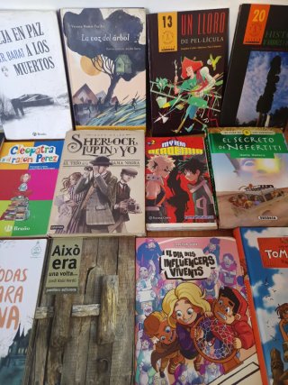 Lote de 16 libros infantiles y juveniles