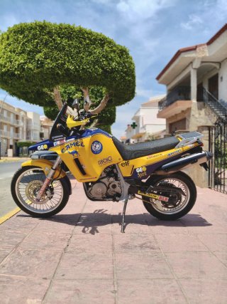 SUZUKI DR BIG 800