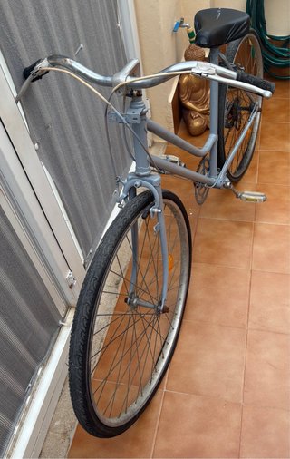 Bicicleta Clásica Gris