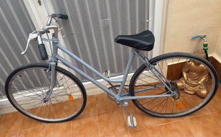 Bicicleta Clásica Gris