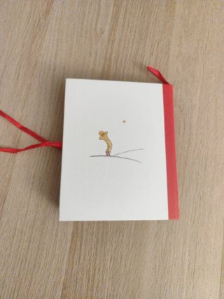 Libro el principito