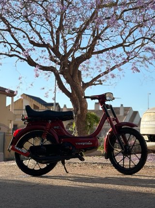 Vespino SC