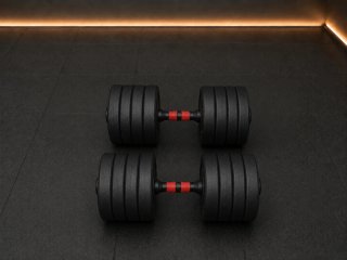 Mancuernas Ajustables 50 kg