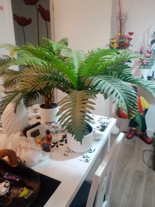 Plantas Artificiales Decorativas